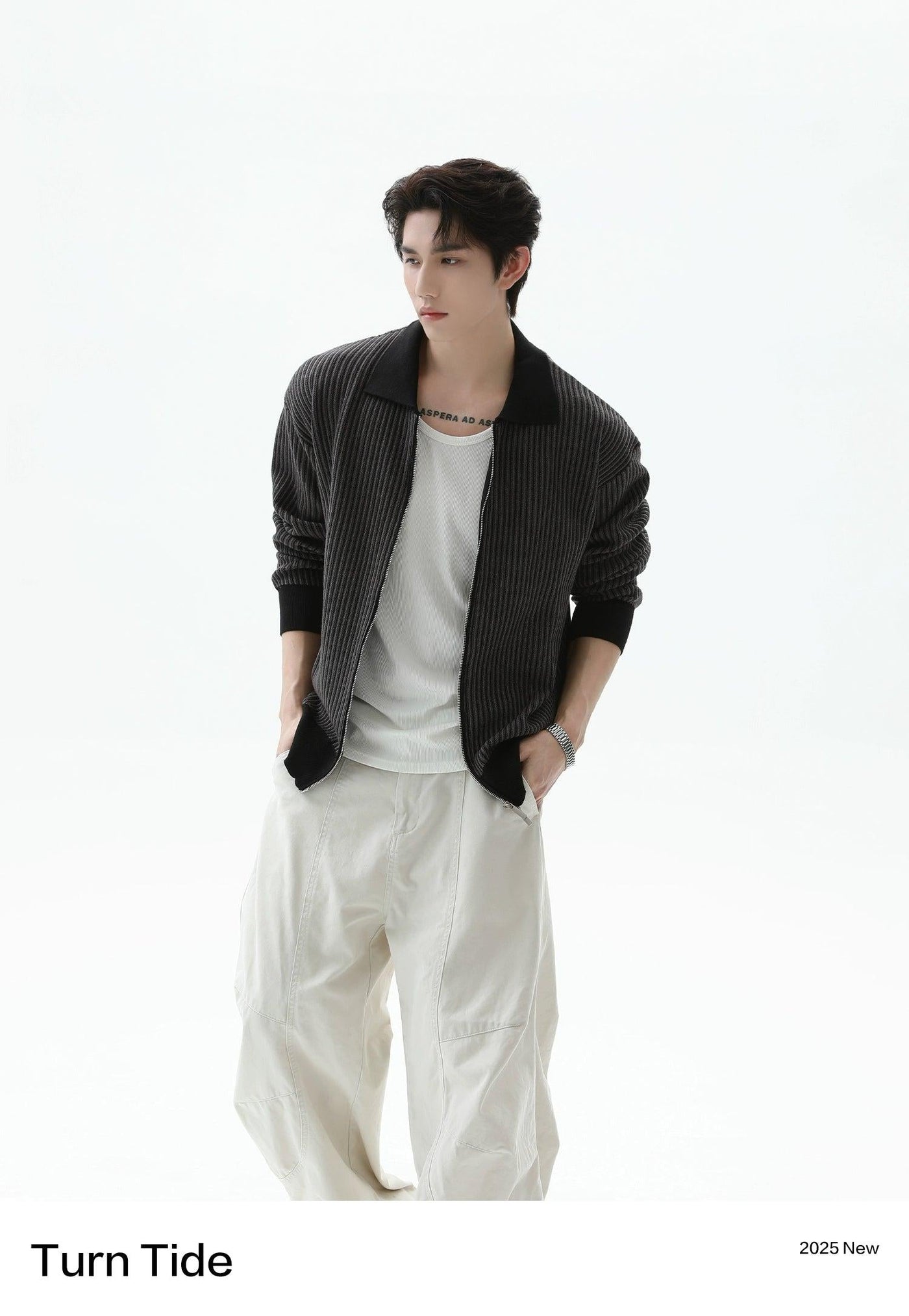 Pattern Knitted Zipped Jacket Korean Street Fashion Jacket By Turn Tide Shop Online at OH Vault