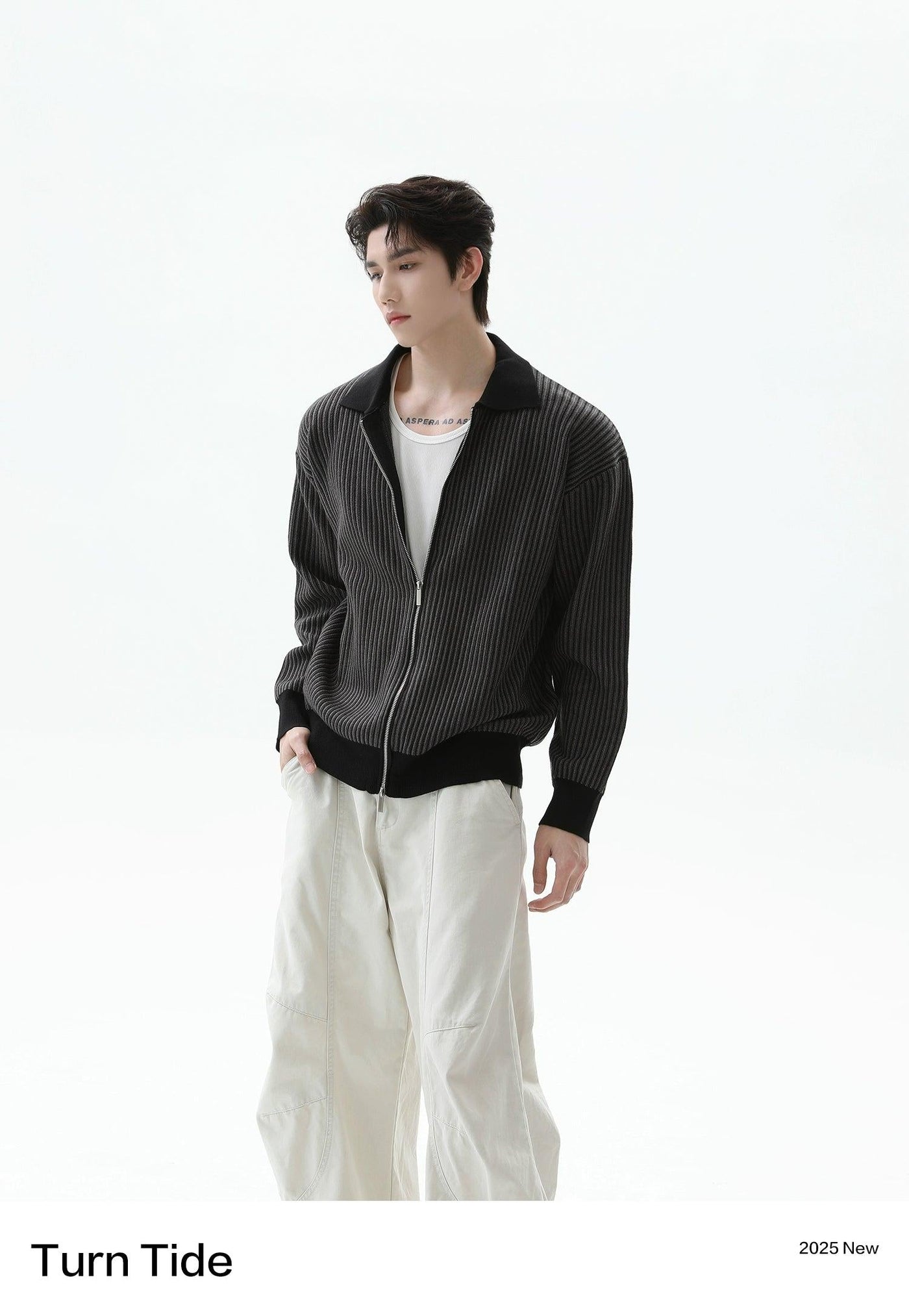 Pattern Knitted Zipped Jacket Korean Street Fashion Jacket By Turn Tide Shop Online at OH Vault